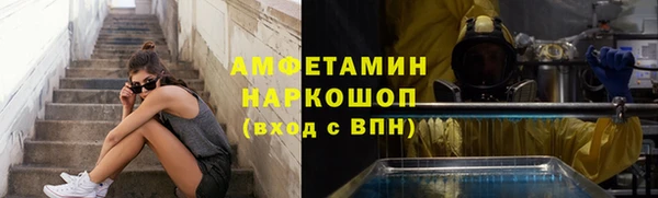 гашик Алексин