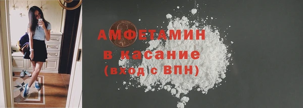 гашик Алексин