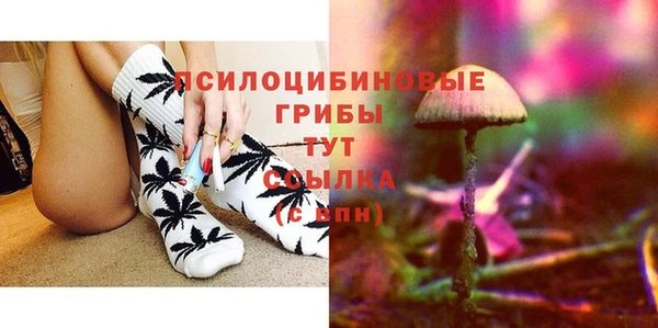 прущая мука Алзамай