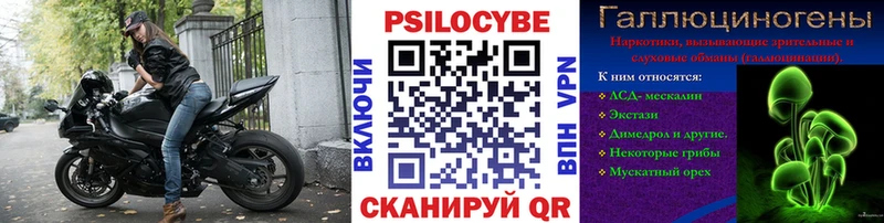 Псилоцибиновые грибы GOLDEN TEACHER  Инта 